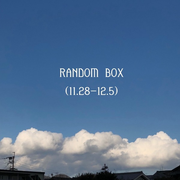 [EVENT] 모어체리 겨울 랜덤박스 (11.28~12.5) - 종료